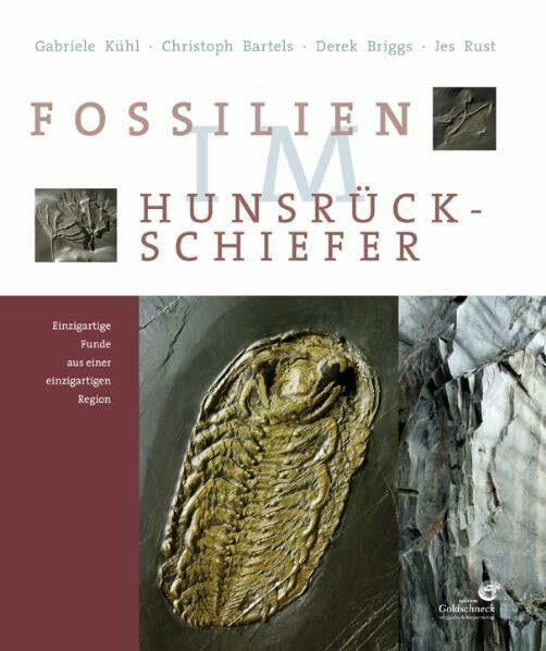 Fossilien im Hunsrück-Schiefer: Einzigartige Funde aus einer einzigartigen Region