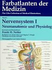 Nervensystem I