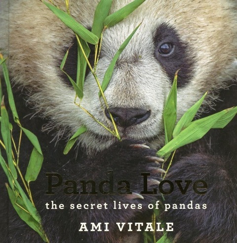 Vitale, A: Panda Love
