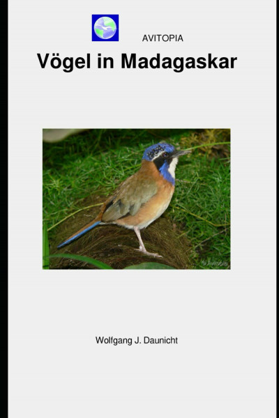 AVITOPIA - Vögel in Madagaskar