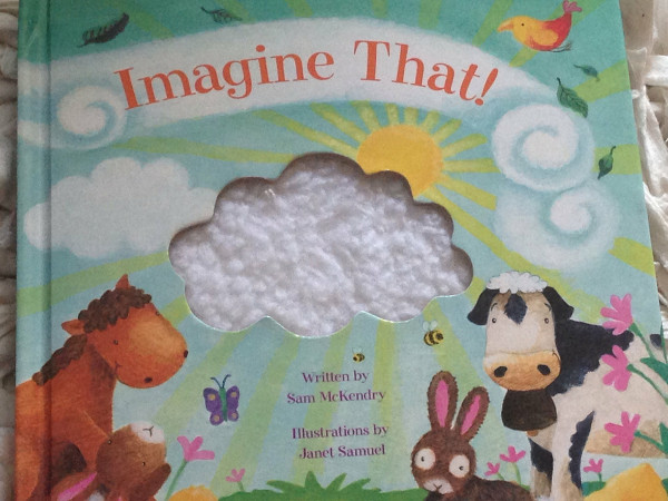 Imagine That!: A Touch And Feel Book
