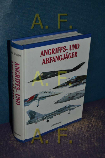 Angriffs- und Abfangjäger
