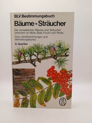 Bäume und Sträucher