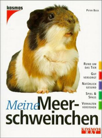 Meine Meerschweinchen