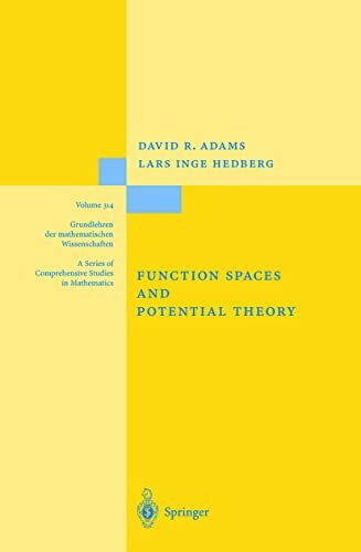 Function Spaces and Potential Theory (Grundlehren der mathematischen Wissenschaften, 314, Band 314)
