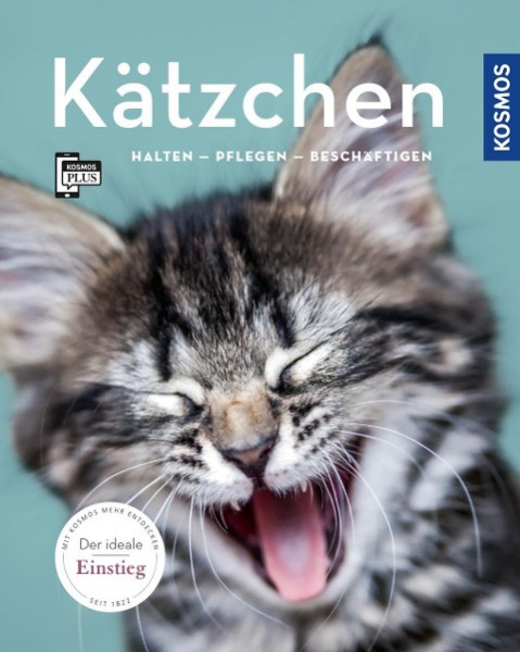 Kätzchen