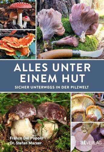 Alles unter einem Hut: Der ultimative Pilzführer – Ganzjährig Pilze sammeln, bestimmen und genießen. Sammelbestimmungen, QR-Codes zu Videos, 100+ Speisepilze, 20 Giftpilze, Aufbewahrung & Rezepte