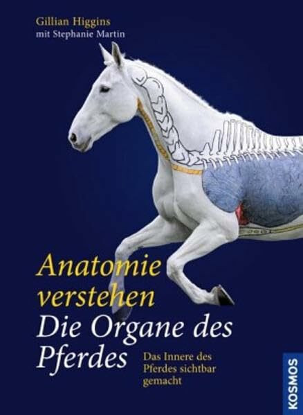 Anatomie verstehen - Die Organe des Pferdes: Das Innere des Pferdes sichtbar gemacht