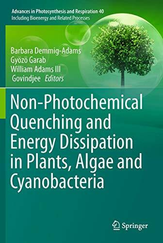 Non-Photochemical Quenching and Energy Dissipation in Plants, Algae and Cyanobacteria (Advances in Photosynthesis and Respiration, 40, Band 40)