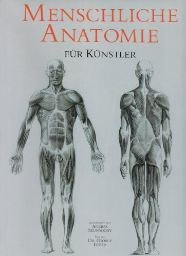 Menschliche Anatomie für Künstler