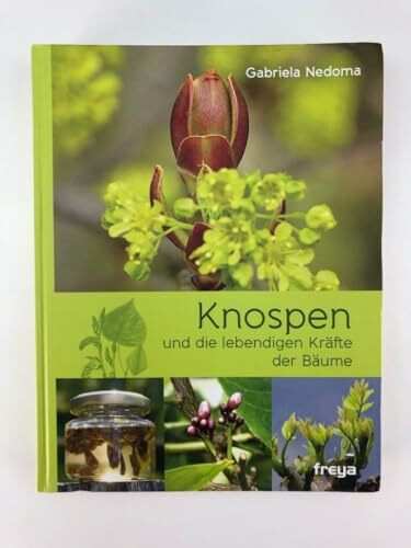 Knospen: und die lebendigen Kräfte der Bäume