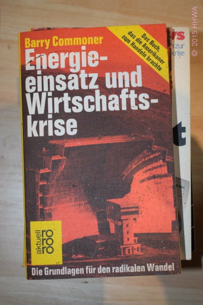 Energieeinsatz und Wirtschaftskrise. Die Grundlagen für den radikalen Wandel.
