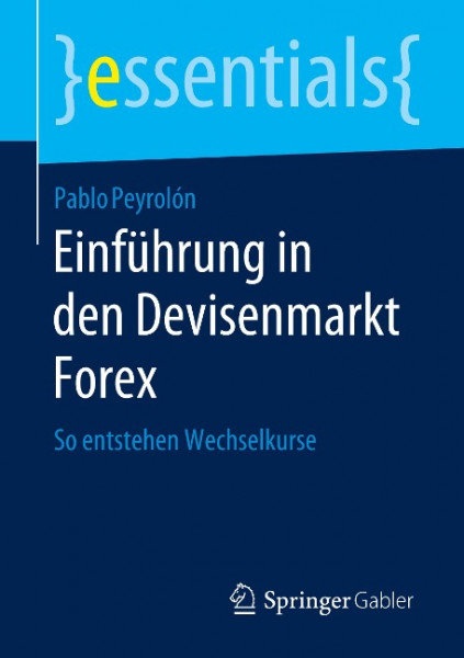 Einführung in den Devisenmarkt Forex