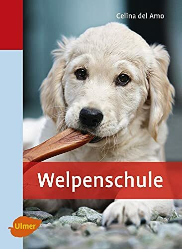 Welpenschule