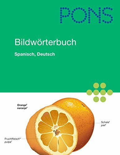 PONS Bildwörterbuch Spanisch: Rund 20.000 Begriffe in Bild und Wort, Spanisch und Deutsch