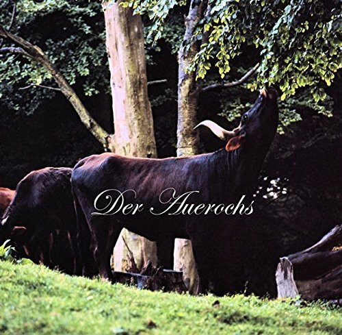 Der Auerochs