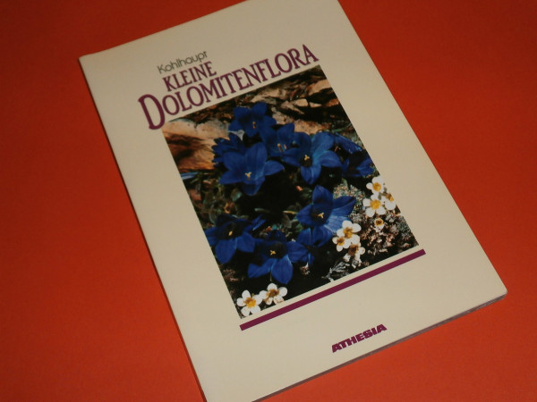 Kleine Dolomiten-Flora