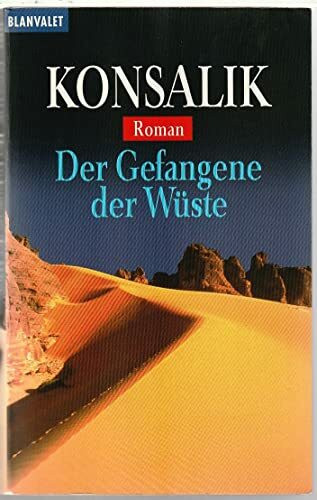 Der Gefangene der Wüste: Roman