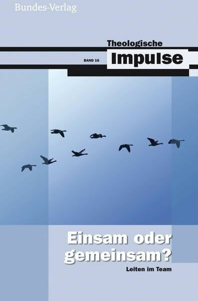 Einsam oder gemeinsam?: Leiten im Team (Theologische Impulse, Band 16)