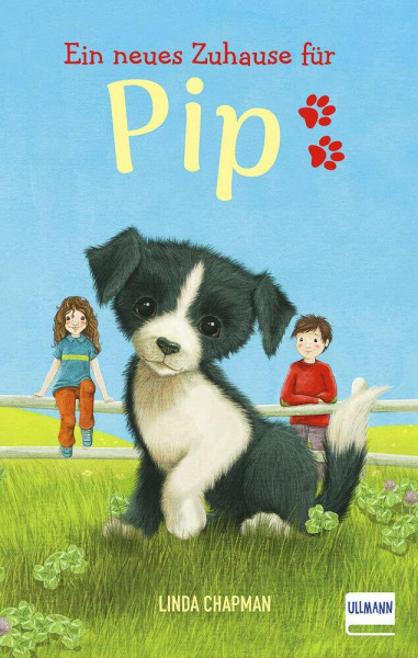 Ein neues Zuhause für Pip: (Kinderbuch ab 7 Jahren, Kinderbücher über Tiere)