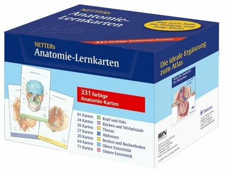 Netters Anatomie-Lernkarten