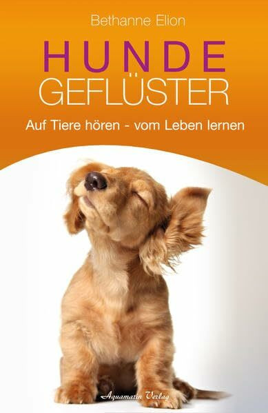 Hundegeflüster: Auf Tiere hören – vom Leben lernen