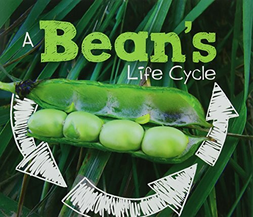 A Bean's Life Cycle (Explore Life Cycles)