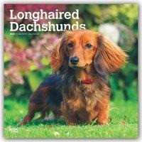 Longhaired Dachshunds - Langhaardackel 2020 - 18-Monatskalender mit freier DogDays-App