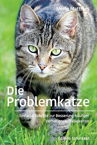 Die Problemkatze: Einfache Schritte zur Besserung häufiger Verhaltensauffälligkeiten