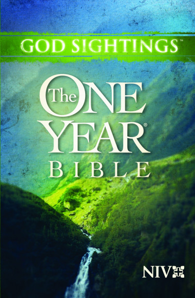 God Sightings, the One Year Bible: New International Version