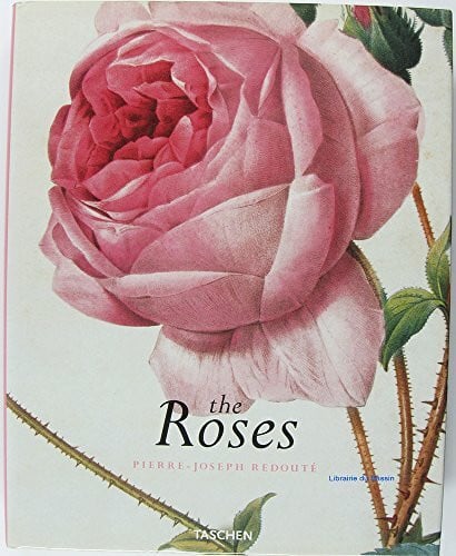 Rosen: Pierre-Joseph Redoute, 1759-1840 (Jumbo)