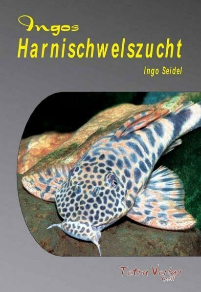 Ingos Harnischwelszucht, m. DVD