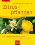 Zitruspflanzen: Die schönsten Arten und Sorten. Überwintern · Pflegen · Vermehren