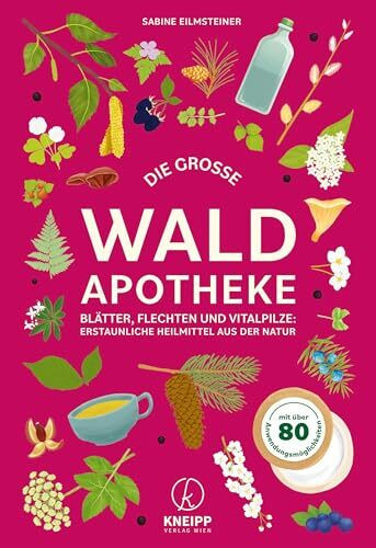Die große Waldapotheke: Blätter, Flechten und Vitalpilze: Erstaunliche Heilmittel aus der Natur