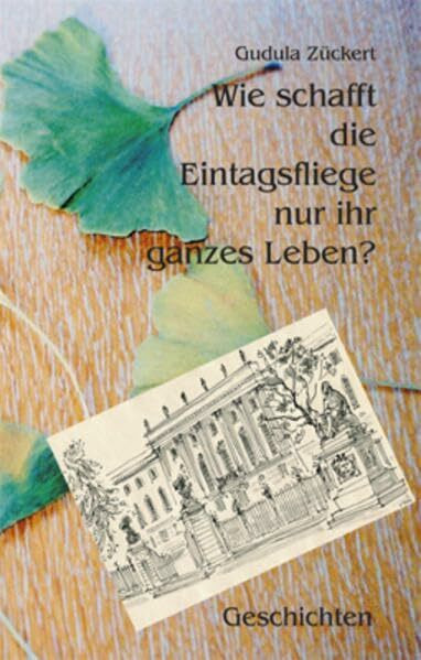 Wie schafft die Eintagsfliege nur ihr ganzes Leben?: Geschichten