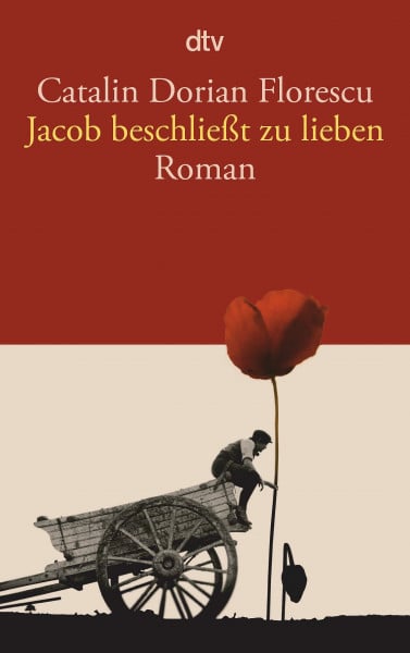 Jacob beschließt zu lieben: Roman