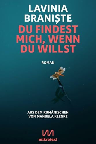 Du findest mich, wenn du willst: Roman