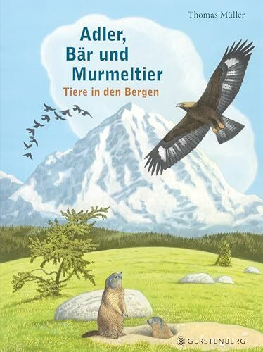 Adler, Bär und Murmeltier: Tiere in den Bergen