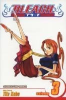 Bleach, Volume 3
