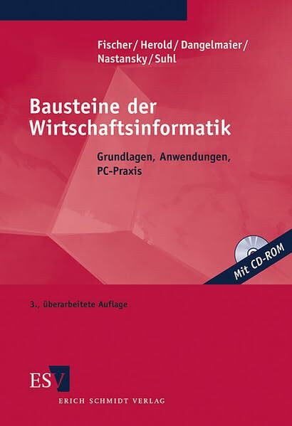 Bausteine der Wirtschaftsinformatik: Grundlagen, Anwendungen, PC-Praxis