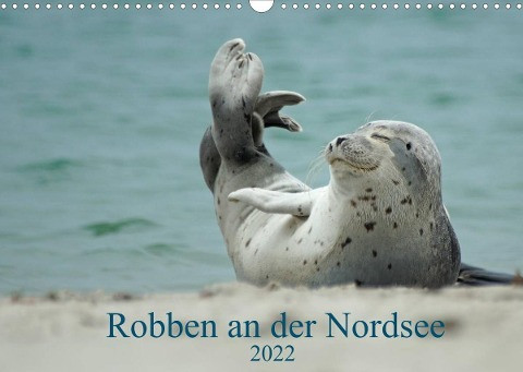 Robben an der Nordsee (Wandkalender 2022 DIN A3 quer)