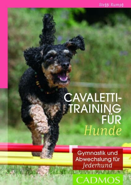 Cavalettitraining für Hunde: Gymnastik und Abwechslung für Jederhund (Cadmos Hundebuch)