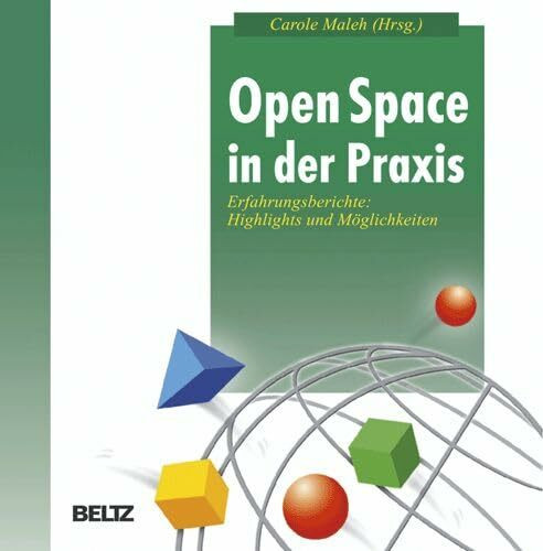 Open Space in der Praxis (Beltz Weiterbildung)