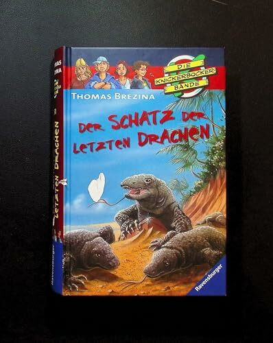 Der Schatz der letzten Drachen (Die Knickerbocker-Bande, Band 51)