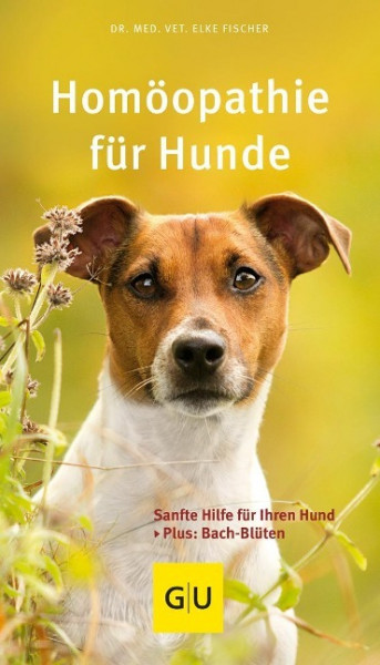 Homöopathie für Hunde