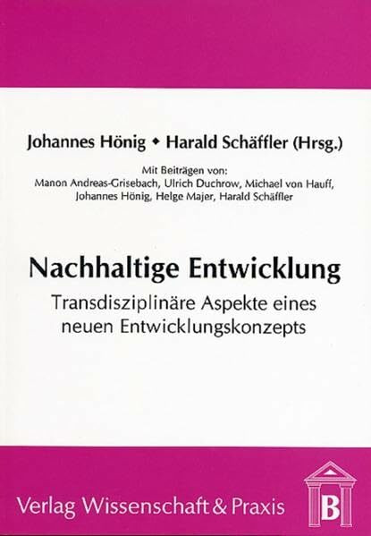 Nachhaltige Entwicklung und Internationalisierung in der Energiewirtschaft. Transdisziplinäre Aspekte eines neuen Entwicklungskonzeptes