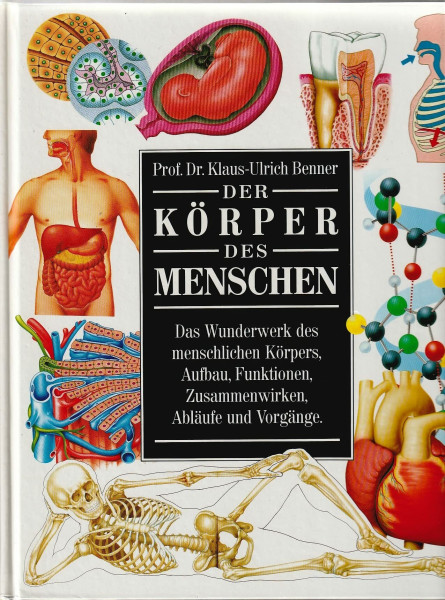Der Körper des Menschen: Das Wunderwerk des menschlichen Körpers, Aufbau, Funktionen, Zusammenwirken, Abläufe und Vorgänge