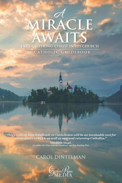 A Miracle Awaits: Encountering Christ in His Church