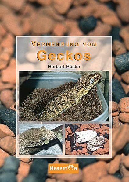 Vermehrung von Geckos: Grundlagen, Anleitungen und Erfahrungen zur erfolgreichen Zucht