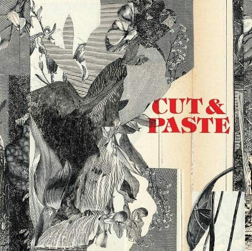 Cut & Paste: 21st-Century Collage (Paperback)